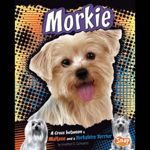 Morkie: A Cross Between a Maltese and a Yorkshire Terrier, Heather Schwartz