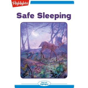 Safe Sleeping: Read with Highlights, Jeanne Barrett Hargett