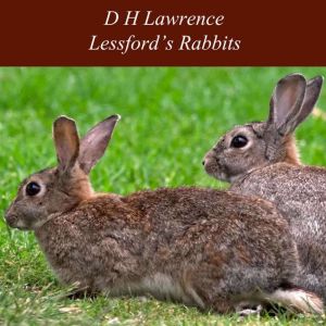 Lessford's Rabbits, D H Lawrence