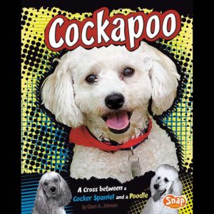 Cockapoo: A Cross Between a Cocker Spaniel and a Poodle, Sheri Johnson