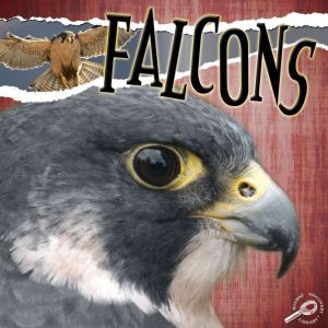 Falcons: Rourke Discovery Library, Julie Lundgren