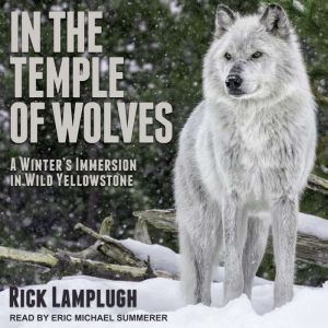 In the Temple of Wolves: A Winter's Immersion in Wild Yellowstone, Rick Lamplugh