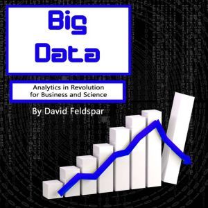 Big Data: Analytics in Revolution for Business and Science, David Feldspar