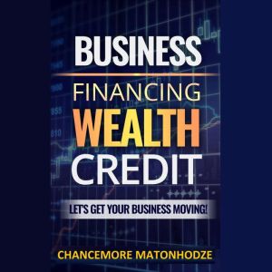 Business Financing, Wealth, Credit: Let's get your business moving, Chancemore Matonhodze