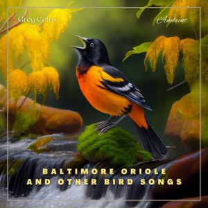 Baltimore Oriole and Other Bird Songs: Nature Sounds for Yoga and Relaxation, Greg Cetus