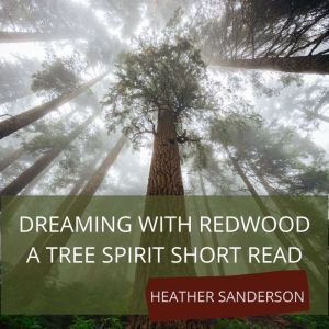 Dreaming with Redwood: A Tree Spirit Short Read, Heather Sanderson