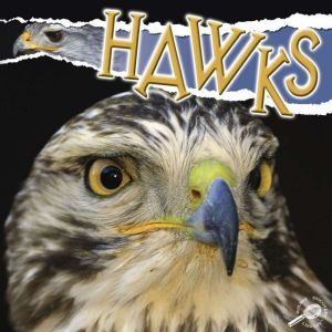Hawks: Rourke Discovery Library, Julie Lundgren