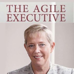 The Agile Executive: Embracing Career Risks and Rewards, Marianne Broadbent