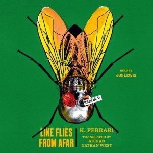 Like Flies from Afar: A Novel, K. Ferrari
