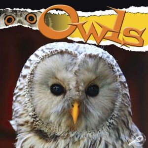 Owls: Rourke Discovery Library, Julie Lundgren