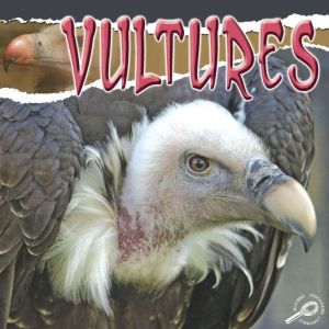 Vultures: Rourke Discovery Library, Julie Lundgren