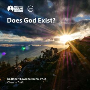 Does God Exist?, Robert L. Kuhn
