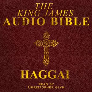 Haggai: The Old Testament, Christopher Glynn