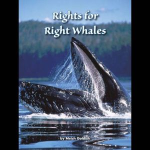 Rights for Right Whales, Meish Goldish