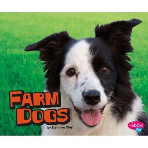 Farm Dogs, Kathryn Clay