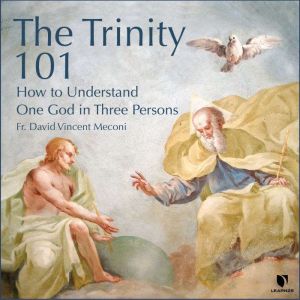 The Trinity 101: How to Understand One God in Three Persons, David Vincent Meconi