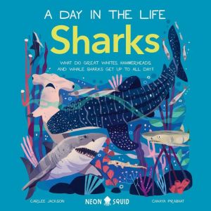 Sharks (A Day in the Life): What Do Great Whites, Hammerheads, and Whale Sharks Get Up To All Day?, Carlee Jackson