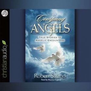 In the Company of Angels: True Stories of Angelic Encoungers, Robert  Strand