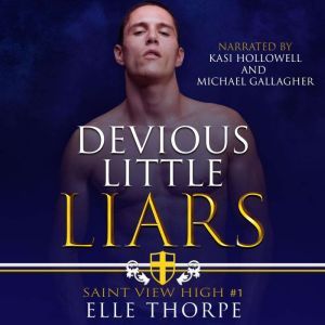 Devious Little Liars: A High School Bully Romance, Elle Thorpe