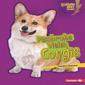 Pembroke Welsh Corgis, Candice Ransom