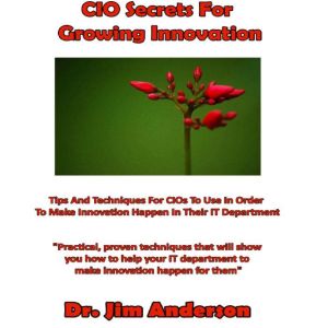 CIO Secrets for Growing Innovation: Tips and Techniques for CIOs to Use in Order to Make Innovation Happen in Their IT Department, Dr. Jim Anderson