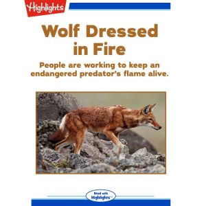 Wolf Dressed in Fire: People are working to keep an endangered predator's flame alive., Sneed B. Collard III