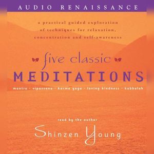 Five Classic Meditations, Shinzen Young