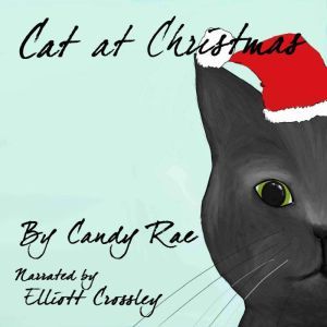 Cat at Christmas: Sammy the Cat, Candy Rae