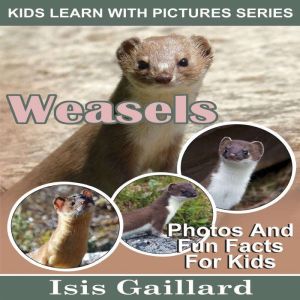 Weasels: Photos and Fun Facts for Kids, Isis Gaillard