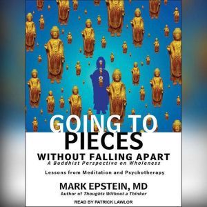 Going to Pieces without Falling Apart: A Buddhist Perspective on Wholeness, MD Epstein