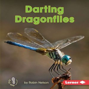 Darting Dragonflies, Robin Nelson