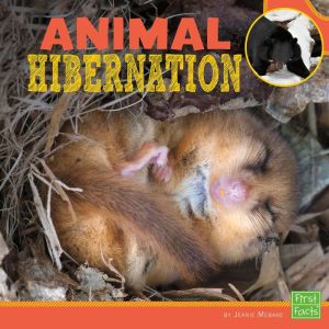Animal Hibernation, Jeanie Mebane