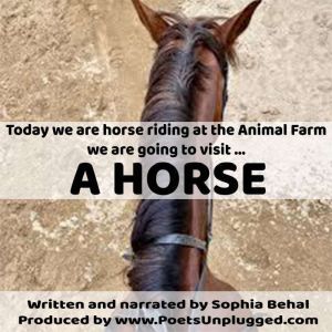 A Horse, Sophia Behal