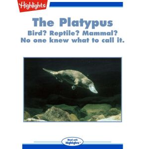 The Platypus, Jack Myers