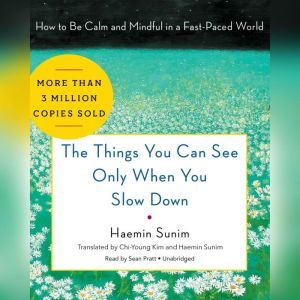 The Things You Can See Only When You Slow Down: How to Be Calm and Mindful in a Fast-Paced World, Haemin Sunim