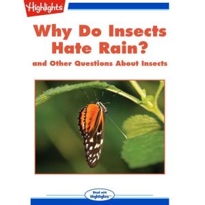 Why Do Insects Hate Rain?: and Other Questions About Insects, Highlights for Children