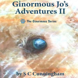 Ginormous Jo's Adventures II: 5 Book Boxset, S C Cunningham