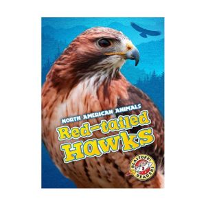 Red-tailed Hawks: Blastoff! Readers: Level 3, Megan Borgert-Spaniol
