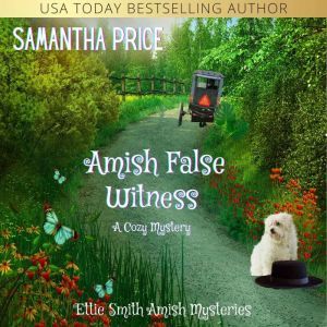 Amish False Witness: A Cozy Amish Mystery, Samantha Price