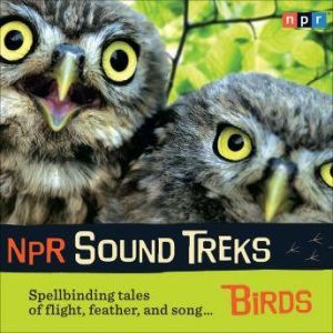 NPR Sound Treks: Birds: Spellbinding Tales of Flight, Feather, and Song, Jon Hamilton