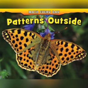 Patterns Outside, Daniel Nunn