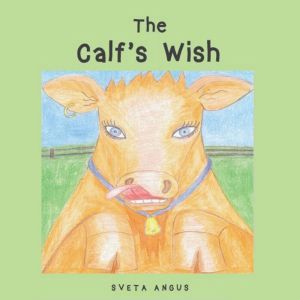 The Calf's Wish, Sveta Angus