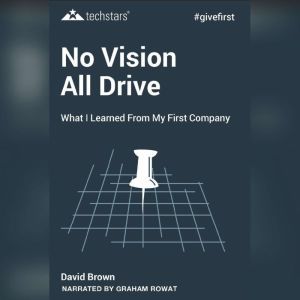 No Vision All Drive: Memoirs of an Entrepreneur, 2nd Edition, David Brown