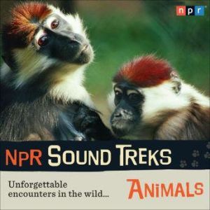 NPR Sound Treks: Animals: Unforgettable Encounters in the Wild, Jon Hamilton
