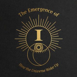 The Emergence of I: How the Universe Woke Up, John H. Payne