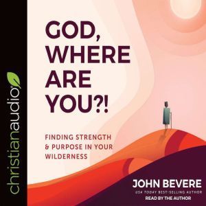 God, Where Are You?!: Finding Strength and Purpose in Your Wilderness, John Bevere