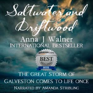 Saltwater and Driftwood: A Historical Novel, Anna J Walner