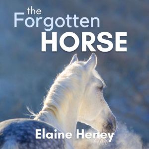 The Forgotten Horse: Book 1 in the Connemara Horse Adventure Series for Kids., Elaine Heney