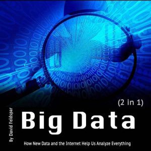 Big Data: How New Data and the Internet Help Us Analyze Everything, David Feldspar