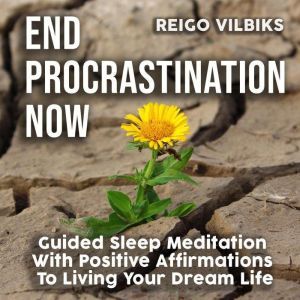 End Procrastination Now: Guided Sleep Meditation With Positive Affirmations To Living Your Dream Life, Reigo Vilbiks